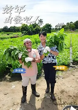 番茄视频资讯条目五维评分样本说明配图